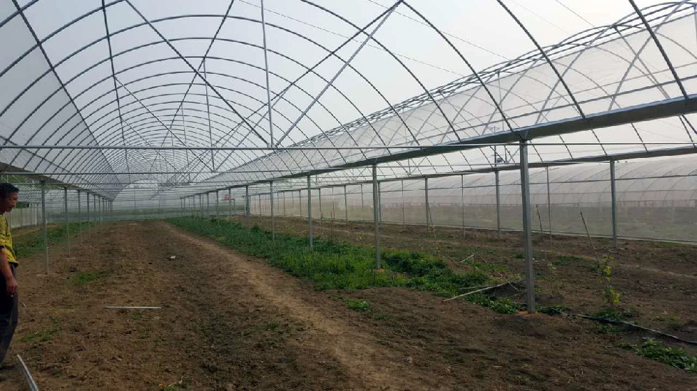 大棚安全鑒定檢測